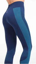 Load image into Gallery viewer, Maia Adult Seamless Leggings, Blue or Black
